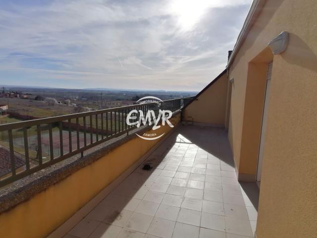 Piso, Zamora