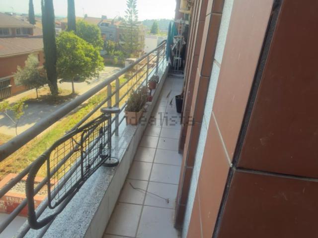 Piso, Zona Esportiva, Terrassa