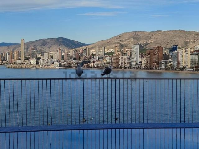 Piso, Zona Sierra Helada, Benidorm
