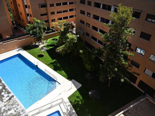 pisos, Alquiler