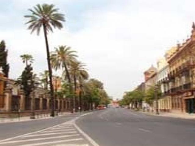 Pisos en Alquiler Sevilla Sevilla