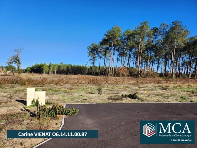 Pissos Vente Terrain 40