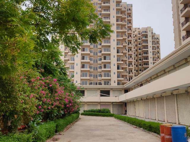 Pivotal Paradise 1 Bedroom 303 Sq. Ft. Apartment in Sector 62 Gurgaon Listing ID: #10324