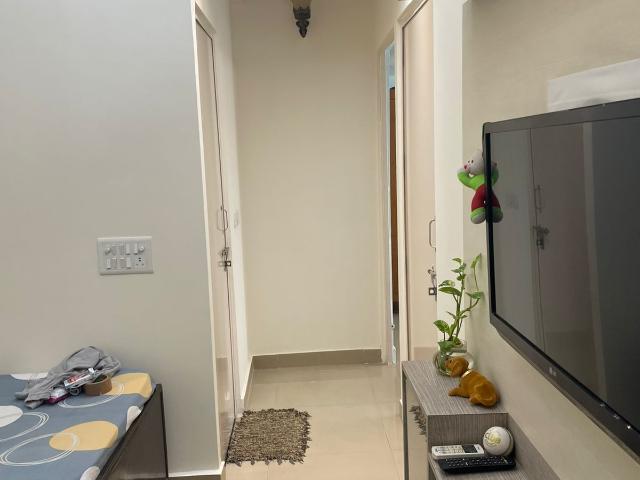 Pivotal Riddhi Siddhi 2 Bedroom 487 Sq. Ft. Apartment in Sector 99 Gurgaon Listing ID: #9920