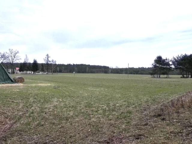 Piwna 1 200 m², Nowe Załubice