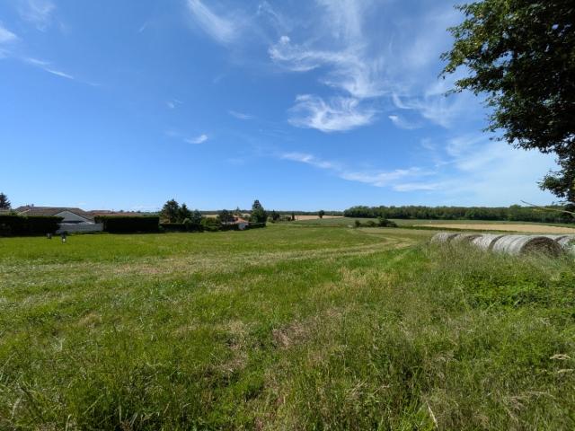 Pizay Vente Terrain 01