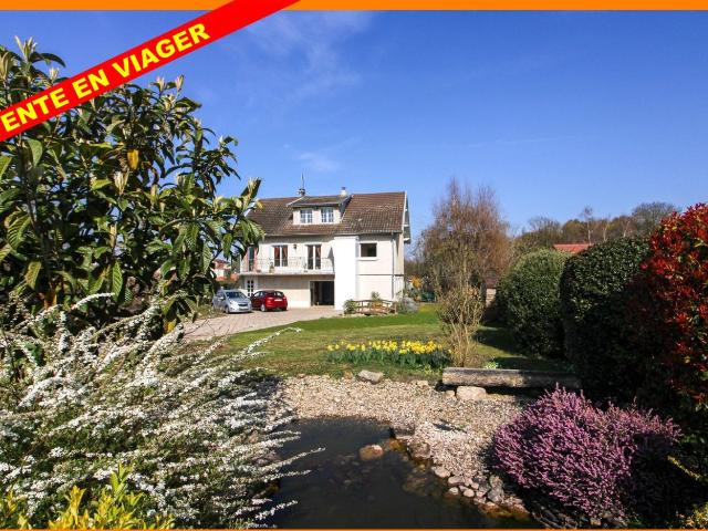 Pizay Vente Maison 01