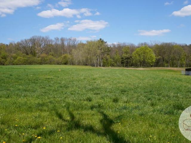 Pożegowska 997 m², Mosina