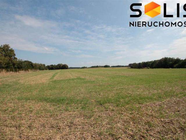 Połomska 1 000 m², Wodzisław Śląski