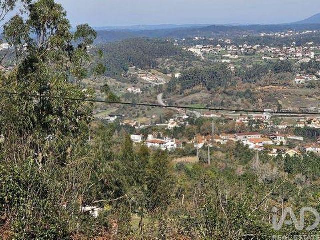 Pombal Leiria 100265125