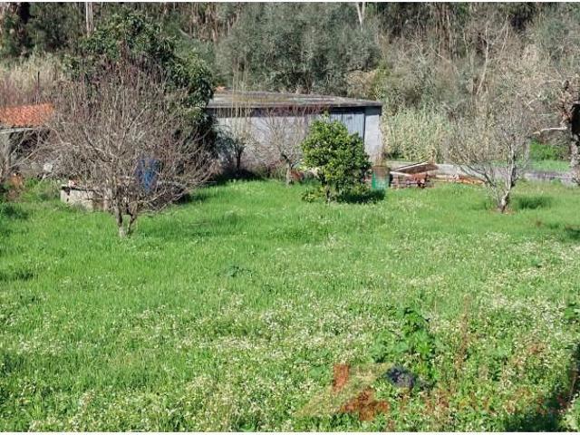 Pombal Pombal LS99377351