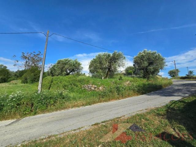 Pombal Pombal 101645866