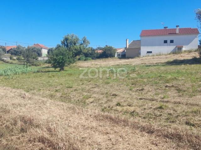 Pombal Pombal 102381590
