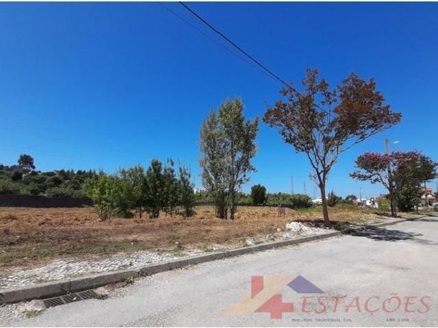 Pombal Pombal 102977650