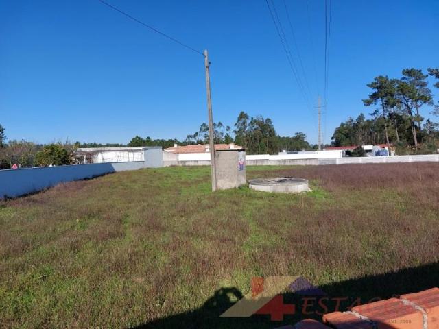 Pombal Pombal 103389304
