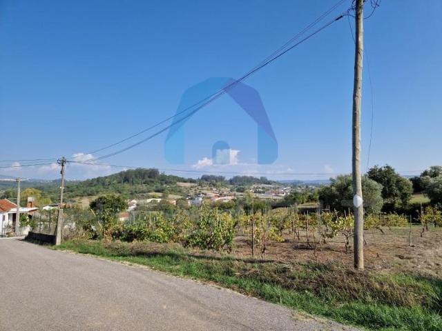 Pombal Pombal 95450364