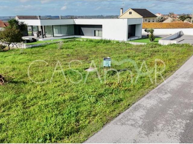 Pombal Pombal 96174572