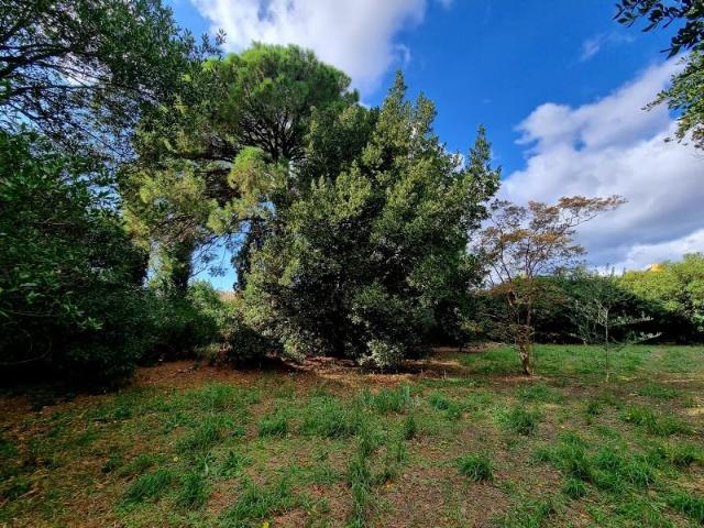 Pomérols Vente Terrain 34