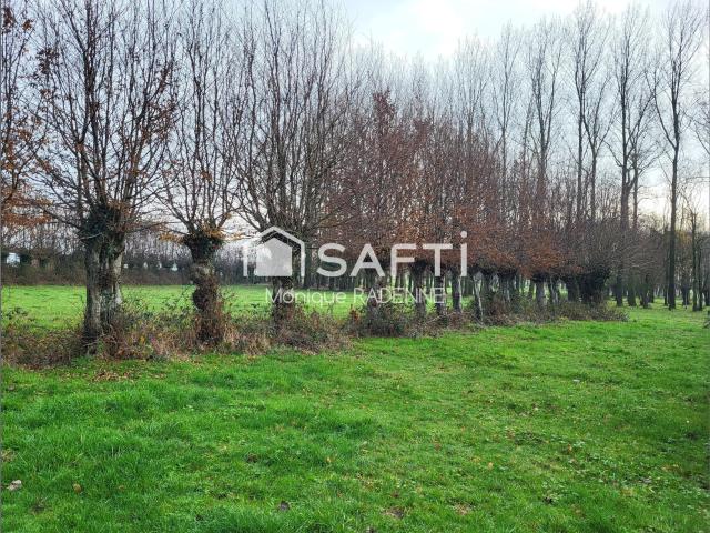 Pommier Vente Terrain 62