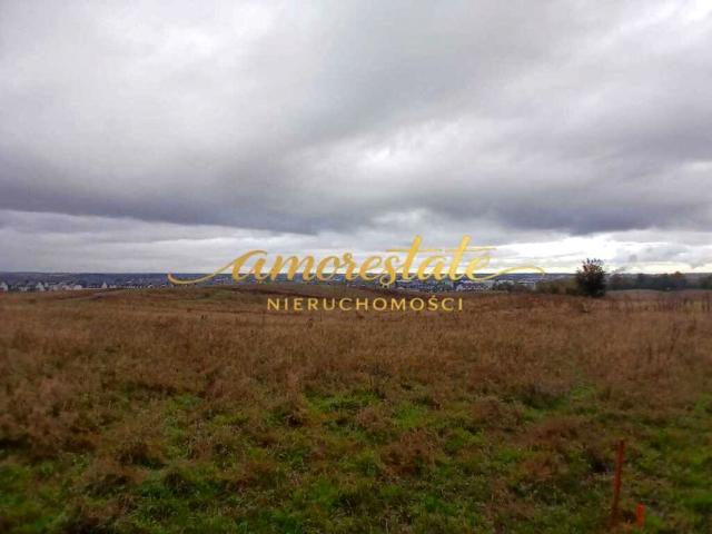 Pomorska 925 m², Czaple
