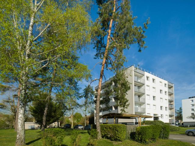 Pont d'Ain Location Appartement 01