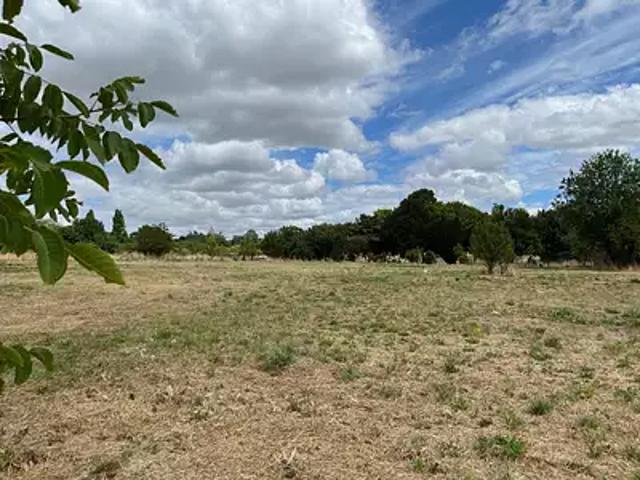 Pont l'Abbé d'Arnoult 17250 Achat / Vente terrain