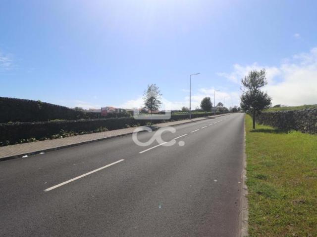 Ponta Delgada Ilha de São Miguel 89701065