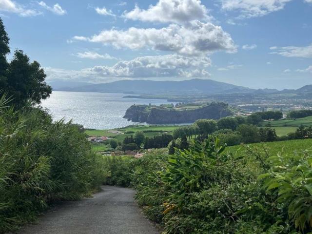Ponta Delgada Ilha de São Miguel 92600034