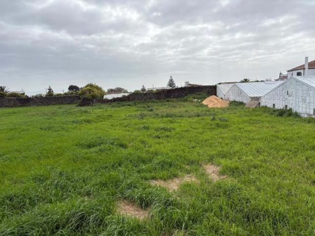 Ponta Delgada Ilha de São Miguel 99581350