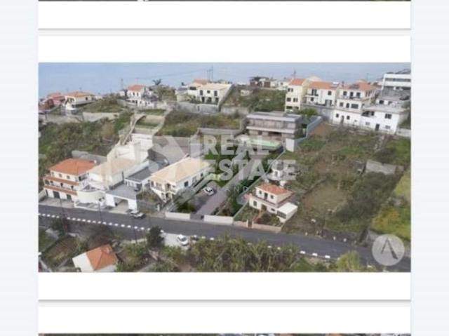 Ponta do Sol Ilha da Madeira LS85690273