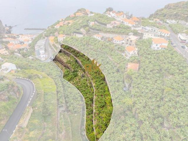 Ponta do Sol Ilha da Madeira LS86006728