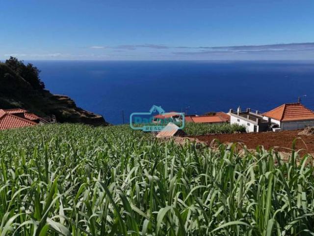 Ponta do Sol Ilha da Madeira LS87986164