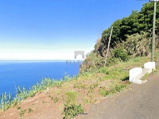Ponta do Sol Ilha da Madeira LS95224804