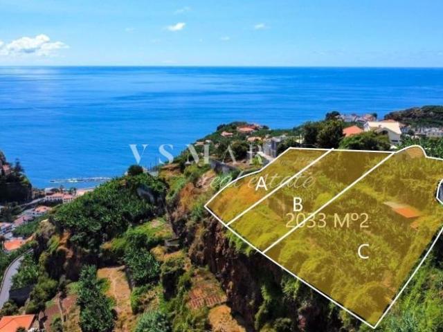 Ponta do Sol Ilha da Madeira 104711945