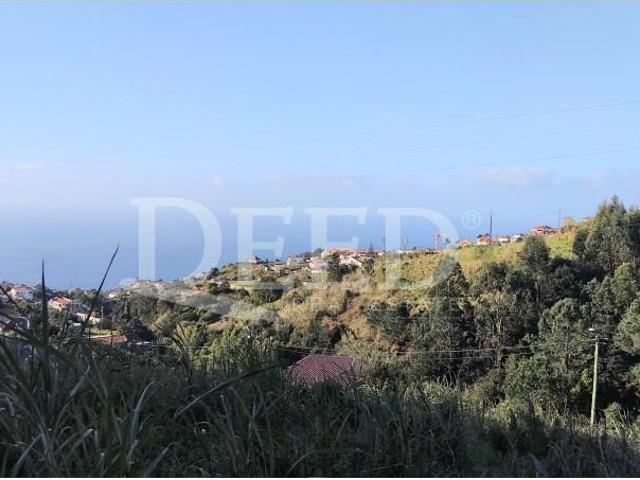 Ponta do Sol Ponta do Sol LS99377176