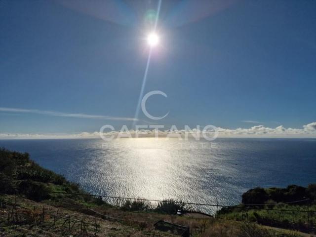 Ponta do Sol Ponta do Sol 100609360