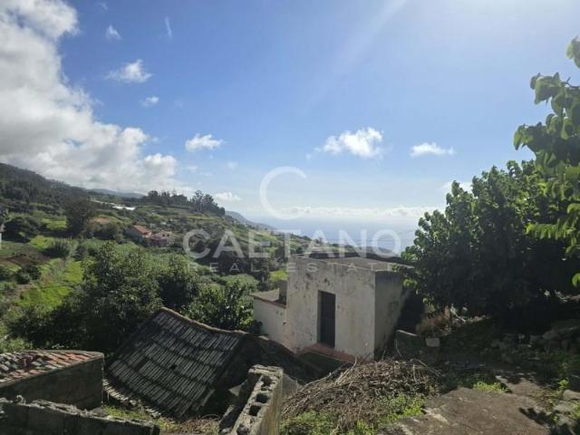 Ponta do Sol Ponta do Sol 102474738