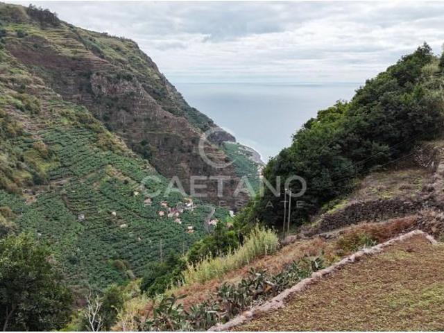 Ponta do Sol Ponta do Sol 96158850