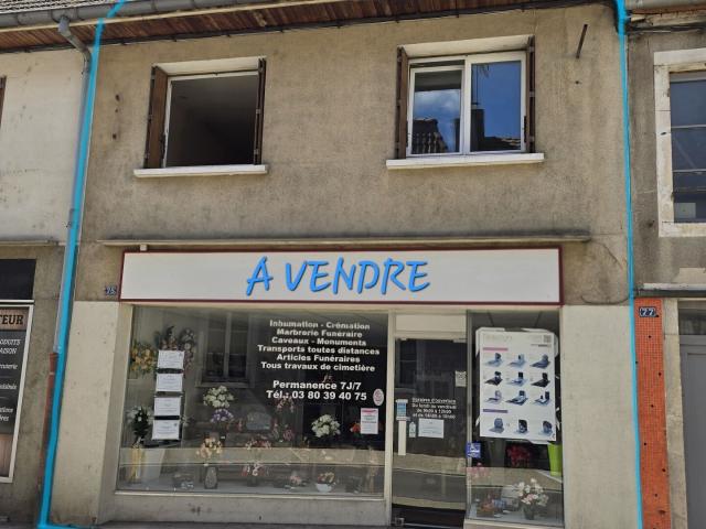 Pontailler sur Saône Vente Immeuble 21