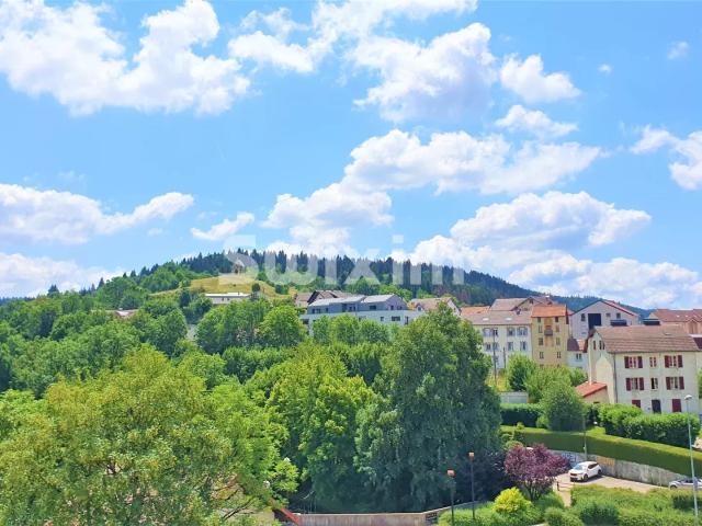 Pontarlier Vente Appartement 25