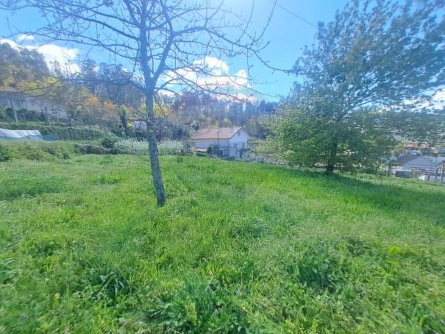 Ponte da Barca Ponte da Barca 89098768