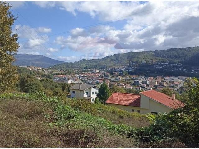Ponte da Barca Ponte da Barca 91354652