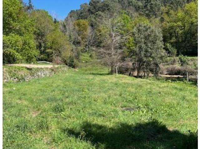Ponte da Barca Ponte da Barca 91514765
