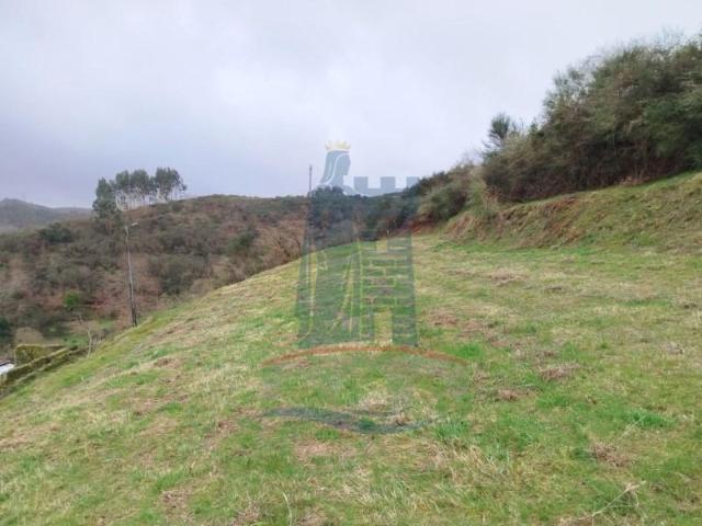 Ponte da Barca Ponte da Barca 99271942