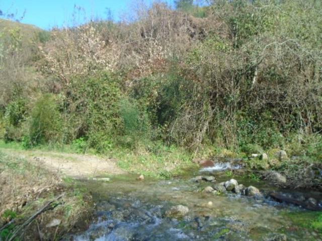 Ponte da Barca Ponte da Barca 104668491