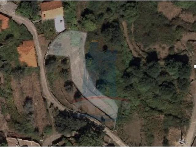 Ponte de Lima Ponte de Lima 104440238