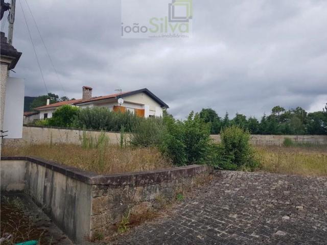 Ponte de Lima Ponte de Lima 104549712