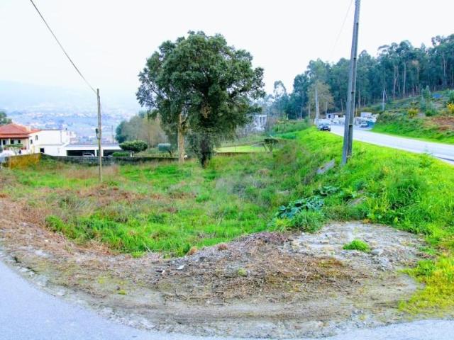 Ponte de Lima Ponte de Lima 104767310