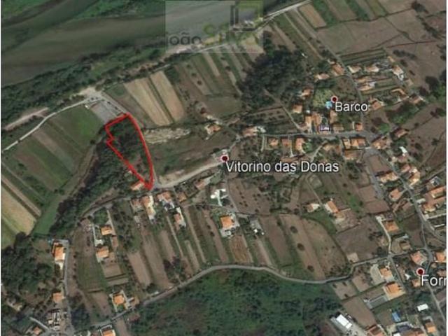 Ponte de Lima Ponte de Lima 104767585