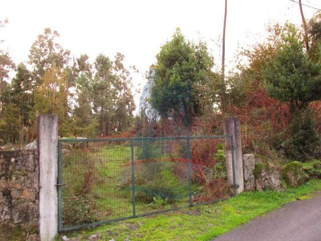 Ponte de Lima Ponte de Lima 104808543